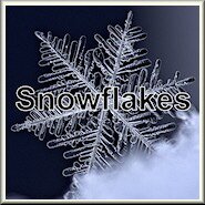 Snowflakes Photo Gallery